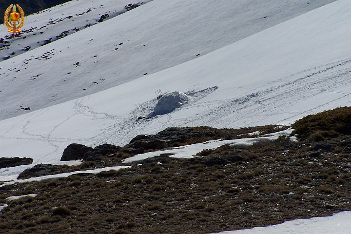 Actividad Nieve 140.JPG